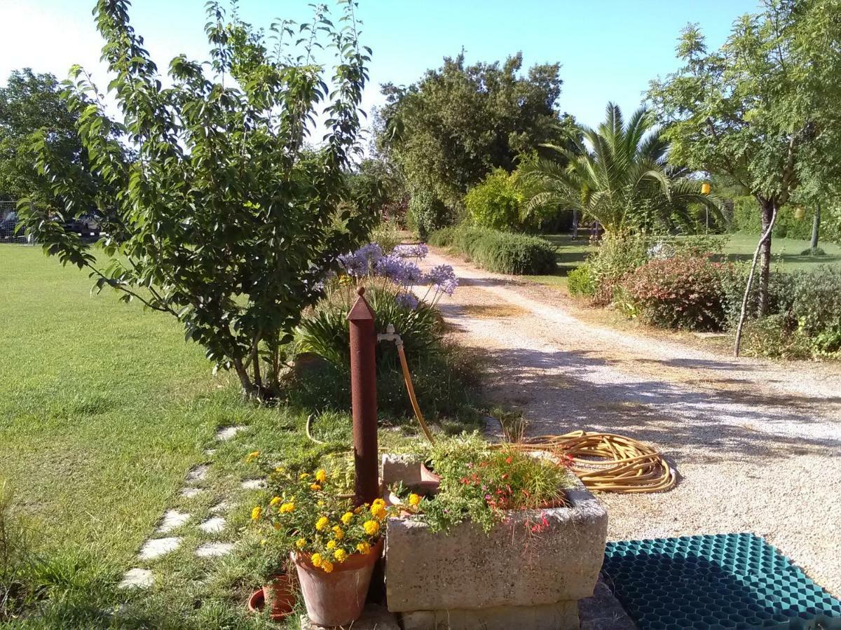 Casetta Vacanza In Campagna Aradeo Exterior foto